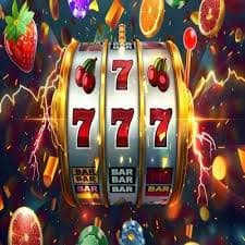 zz669